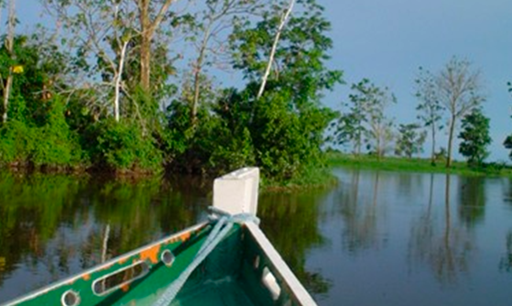 Imagens virtuais do rio Amazonas